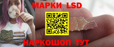 дмт Будённовск