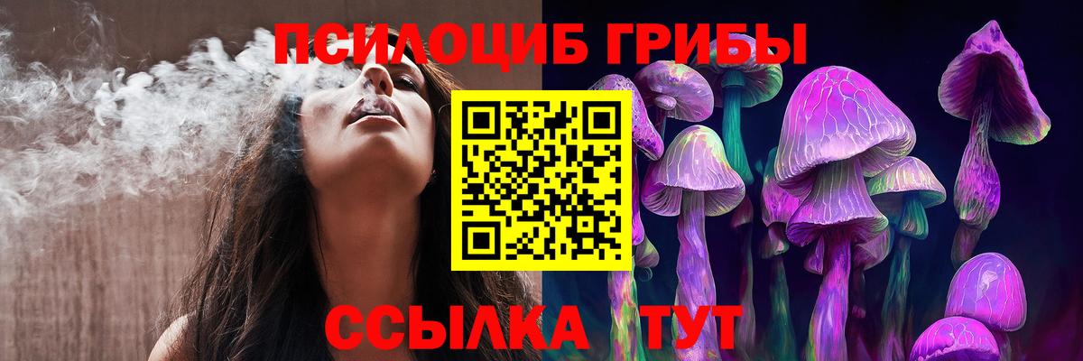 Псилоцибиновые грибы Cubensis Электросталь